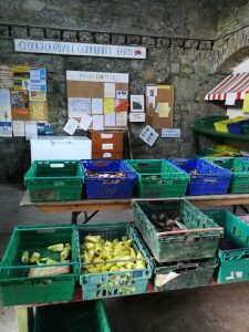 Harvested agricultural produce